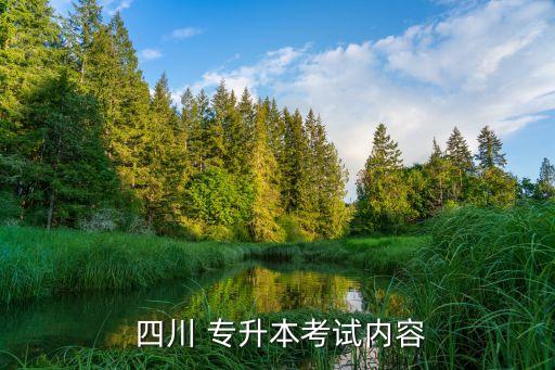 四川專升本語(yǔ)文重點(diǎn)文章,貴州專升本語(yǔ)文重點(diǎn)文章