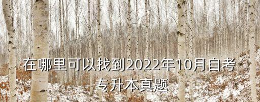 在哪里可以找到2022年10月自考 專升本真題