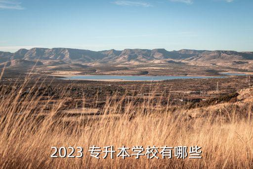 2023 專升本學(xué)校有哪些