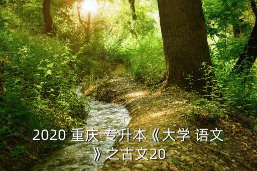 2020 重慶 專升本《大學(xué) 語文》之古文20