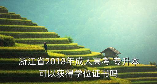  浙江省2018年成人高考 專升本可以獲得學(xué)位證書嗎