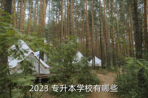 2023 專升本學(xué)校有哪些