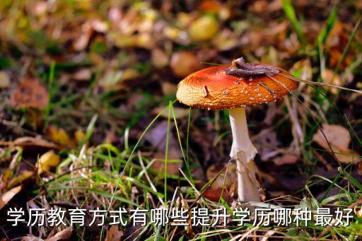 學(xué)歷教育方式有哪些提升學(xué)歷哪種最好