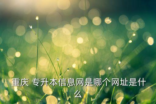  重慶 專升本信息網(wǎng)是哪個網(wǎng)址是什么