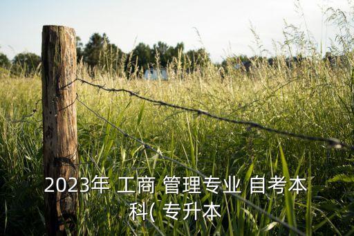 2023年 工商 管理專業(yè) 自考本科( 專升本