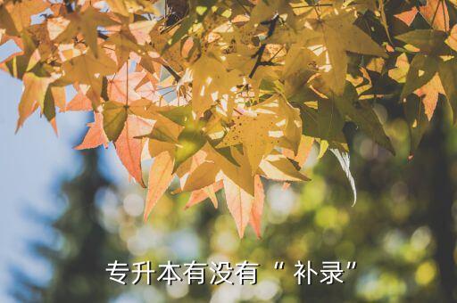  專升本有沒(méi)有“ 補(bǔ)錄”