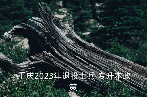  重慶2023年退役士兵 專升本政策