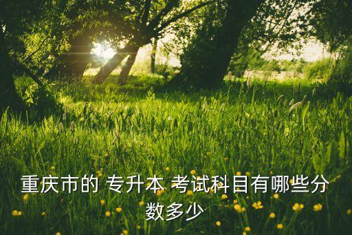 重慶市的 專升本 考試科目有哪些分?jǐn)?shù)多少