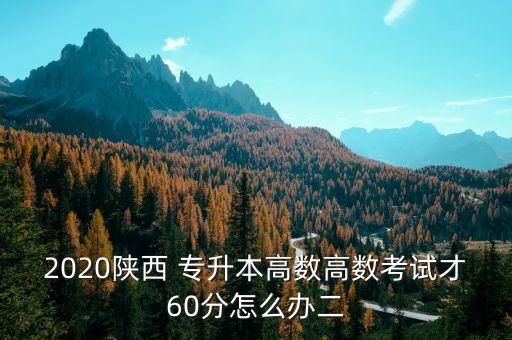 2020陜西 專升本高數(shù)高數(shù)考試才60分怎么辦二