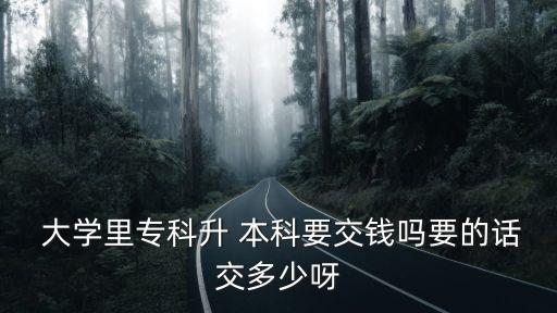  大學(xué)里?？粕?本科要交錢嗎要的話交多少呀