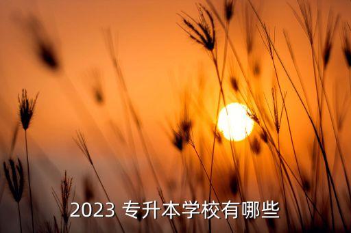 2023 專升本學(xué)校有哪些