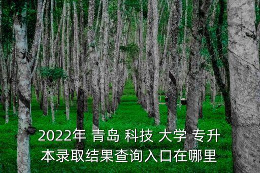 2022年 青島 科技 大學(xué) 專升本錄取結(jié)果查詢?nèi)肟谠谀睦? class=