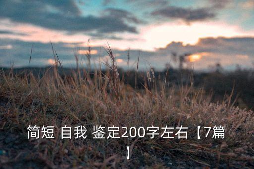 簡短 自我 鑒定200字左右【7篇】