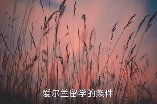 愛爾蘭留學(xué)的條件