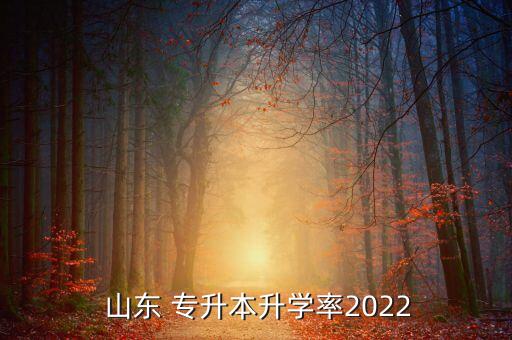  山東 專(zhuān)升本升學(xué)率2022