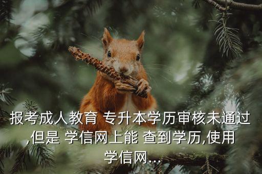 報考成人教育 專升本學歷審核未通過,但是 學信網(wǎng)上能 查到學歷,使用 學信網(wǎng)...