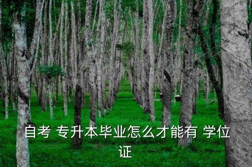  自考 專升本畢業(yè)怎么才能有 學(xué)位證