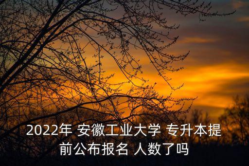 2022年 安徽工業(yè)大學(xué) 專升本提前公布報名 人數(shù)了嗎