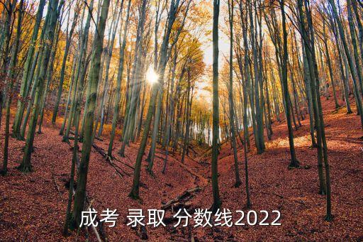 成考 錄取 分?jǐn)?shù)線2022