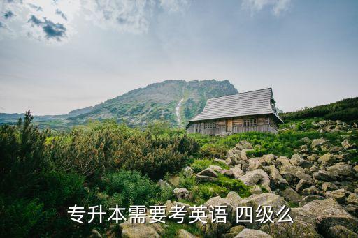 專升本詞匯背四級(jí)夠嗎,山東專升本英語單詞詞匯和四級(jí)相比