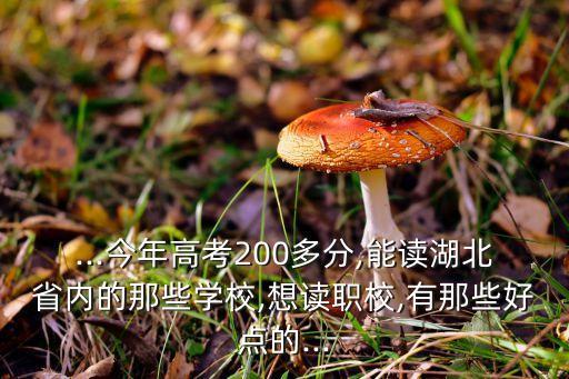 ...今年高考200多分,能讀湖北省內(nèi)的那些學(xué)校,想讀職校,有那些好點(diǎn)的...