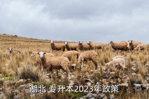 湖北省專升本考試大綱,2023年湖北專升本考試時(shí)間