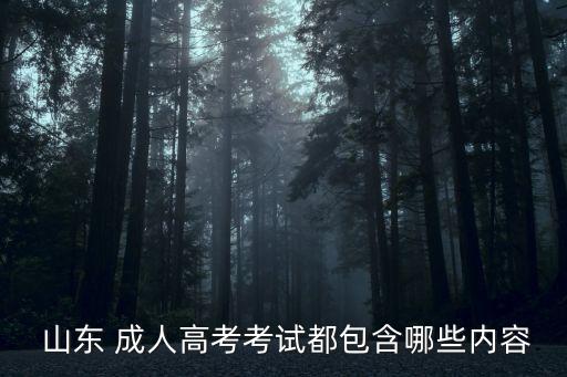  山東 成人高考考試都包含哪些內(nèi)容