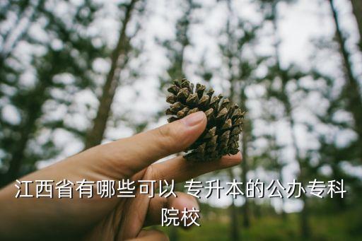 景德鎮(zhèn)陶瓷大學收專升本嗎