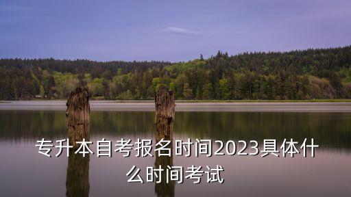  專升本自考報名時間2023具體什么時間考試