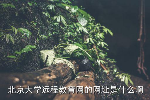  北京大學(xué)遠(yuǎn)程教育網(wǎng)的網(wǎng)址是什么啊