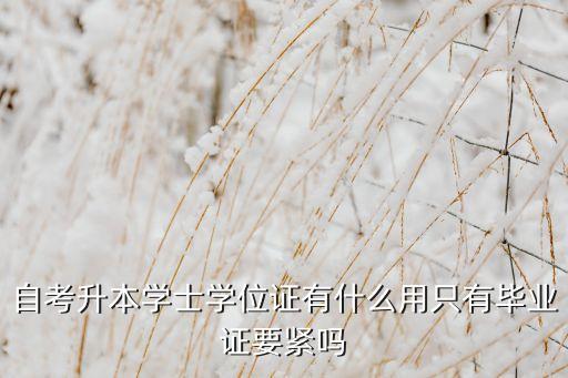 自考升本學(xué)士學(xué)位證有什么用只有畢業(yè)證要緊嗎