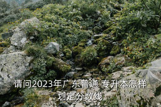 請(qǐng)問(wèn)2023年廣東普通 專升本怎樣劃定分?jǐn)?shù)線