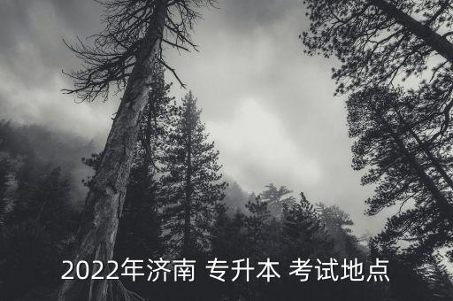 2022年濟(jì)南 專升本 考試地點(diǎn)