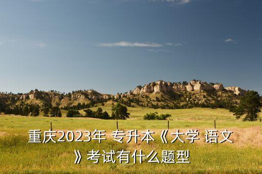 重慶2023年 專升本《大學(xué) 語文》考試有什么題型