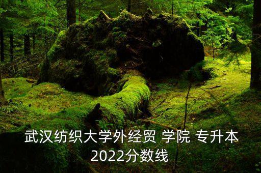  武漢紡織大學(xué)外經(jīng)貿(mào) 學(xué)院 專升本2022分?jǐn)?shù)線