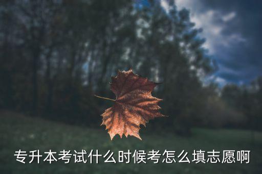  專升本考試什么時(shí)候考怎么填志愿啊