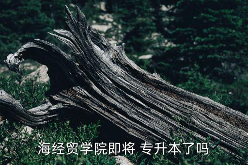 海南有專升本的大學(xué)嗎,海南科技職業(yè)大學(xué)2022專升本