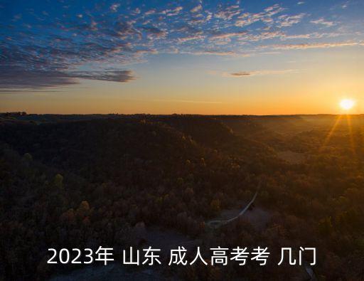 2023年 山東 成人高考考 幾門