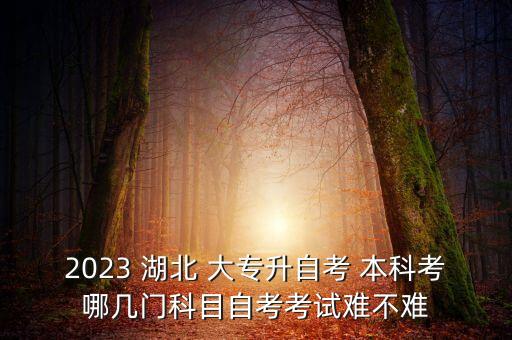 2023 湖北 大專升自考 本科考哪幾門科目自考考試難不難