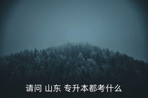 請(qǐng)問 山東 專升本都考什么