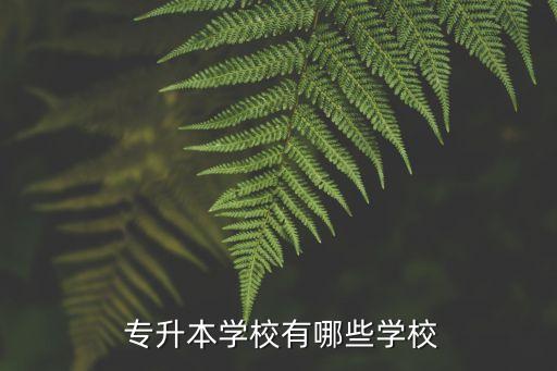 全國(guó)專升本的院校排名,專升本院校排名及錄取分?jǐn)?shù)線