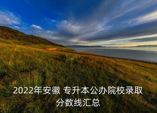 2022年安徽 專升本公辦院校錄取分數(shù)線匯總