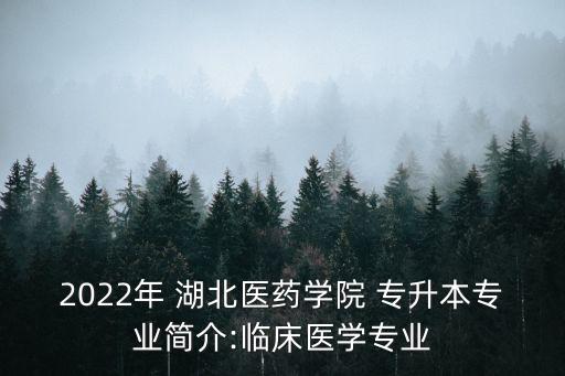 2022年 湖北醫(yī)藥學(xué)院 專升本專業(yè)簡介:臨床醫(yī)學(xué)專業(yè)