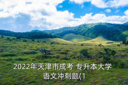 2022年天津市成考 專升本大學(xué) 語(yǔ)文沖刺題(1