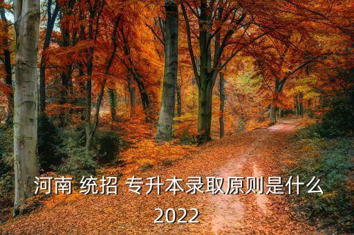  河南 統(tǒng)招 專升本錄取原則是什么2022