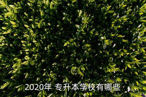 信陽農(nóng)林學(xué)院專升本名單,2022信陽農(nóng)林學(xué)院專升本專業(yè)