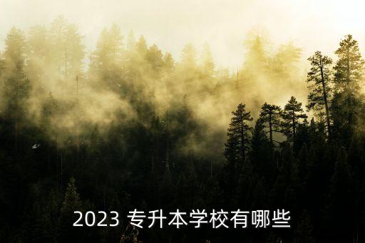 2023 專(zhuān)升本學(xué)校有哪些