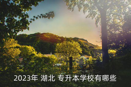 2023年 湖北 專升本學(xué)校有哪些