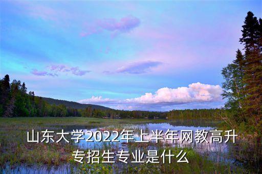  山東大學(xué)2022年上半年網(wǎng)教高升專招生專業(yè)是什么