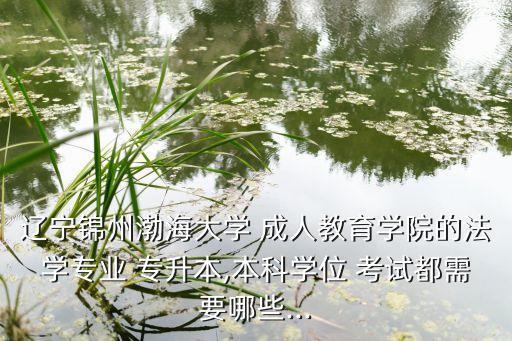 遼寧錦州渤海大學(xué) 成人教育學(xué)院的法學(xué)專業(yè) 專升本,本科學(xué)位 考試都需要哪些...